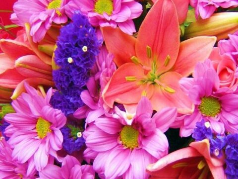 nice flowers