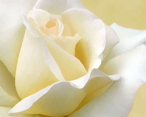 حضرت اسماعیل علیہ السلام