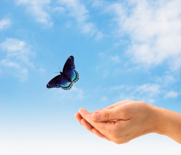 مذہب اسلام میں اظہار رائے کی آزادی