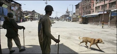 غلام نبی فائی کی گرفتاری کے خلاف وادی میں مکمل ہڑتال