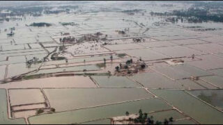 Flood