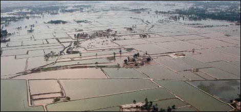 Flood