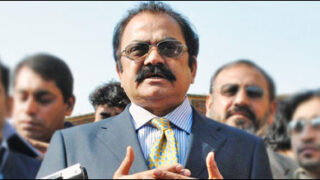 Rana Sana