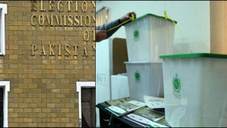 election
