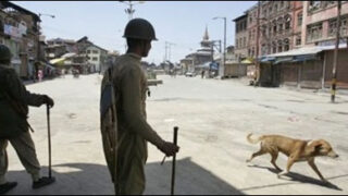 kashmir
