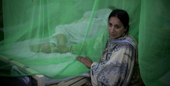 کراچی : اٹھارہ افراد میں ڈینگی کی تصدیق