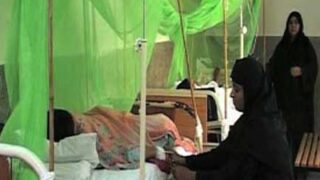 Dengue