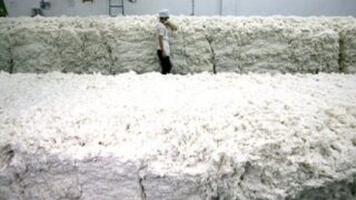 cotton bales