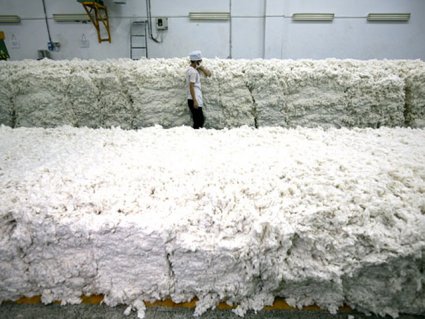 cotton bales