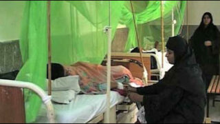 dengue