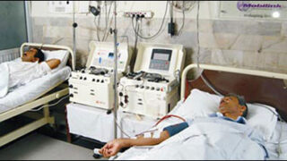 dengue fever