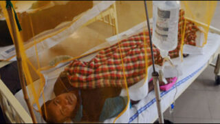 dengue lahore