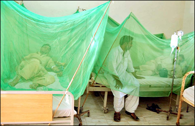 dengue