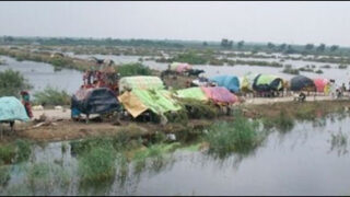 flood