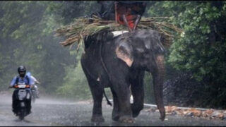 india rain