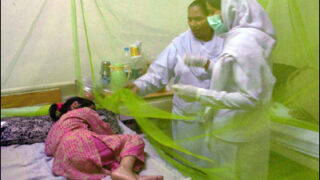lahore dengue