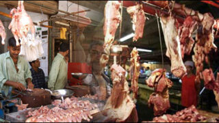meat