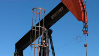 oil