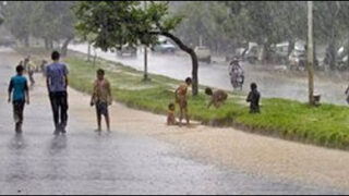 rain