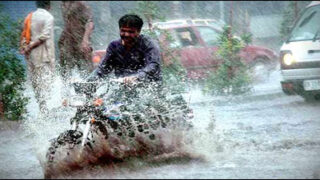rain