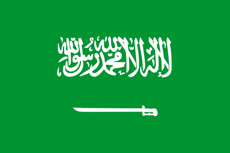صدر صالح یمن واپس نہیں جائیں گے: سعودی عہدے دار