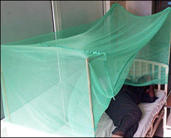 Dengue