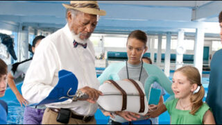 Dolphin tale