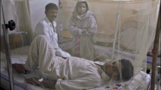 dengue