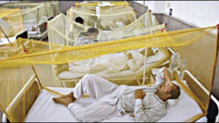 dengue