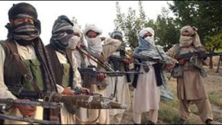 haqqani network