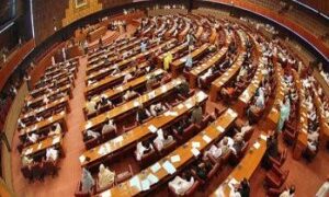 national assembly