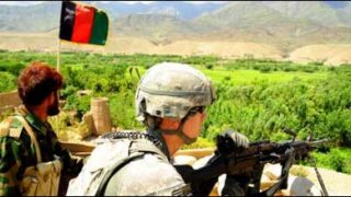 nato afghan