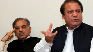 nawaz shabaz