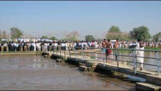 sahiwal