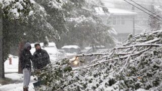 snow fall