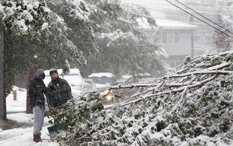 snow fall