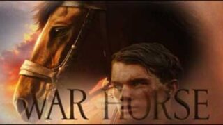 war horse