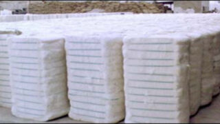 CottonBales