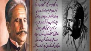 allama iqbal