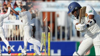 cricket