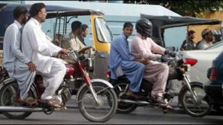 pillion