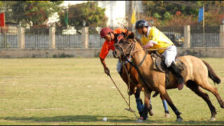 polo