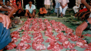 qurbani