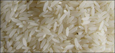 سندھ میں چاول کی فصل تیار ، فی من نرخ 450 کی کمی