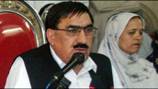 shahi syed