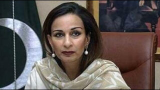 sherry rehman