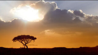 weather