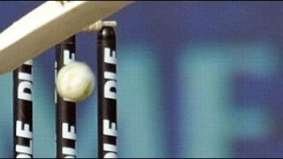 Cricket