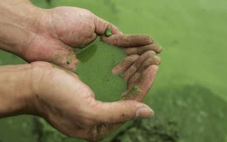 زہریلا پانی  …  سنگین بحران