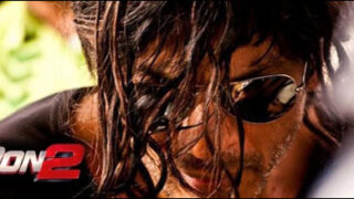 don 2